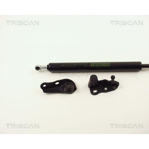 TRISCAN Gasfeder, Koffer-/Laderaum 8710 13264