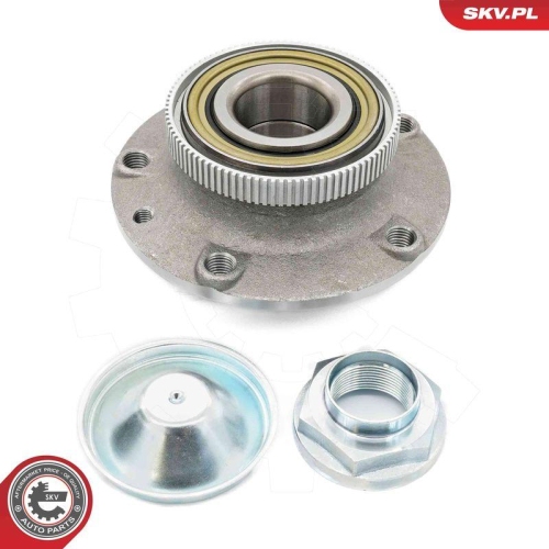 ESEN SKV Radlagersatz
