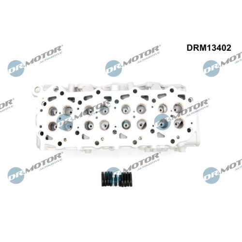 Dr.Motor Automotive Zylinderkopf DRM13402