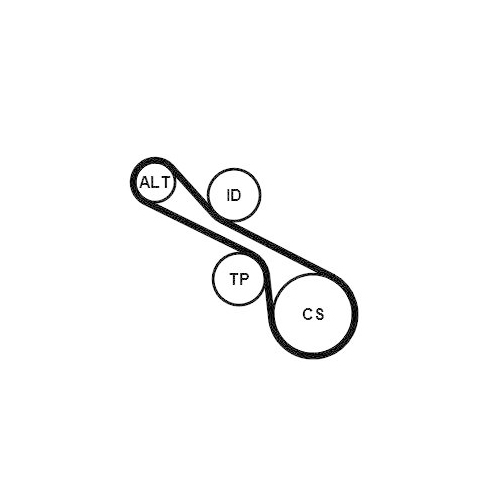 CONTINENTAL CTAM Keilrippenriemensatz 6PK1230K1