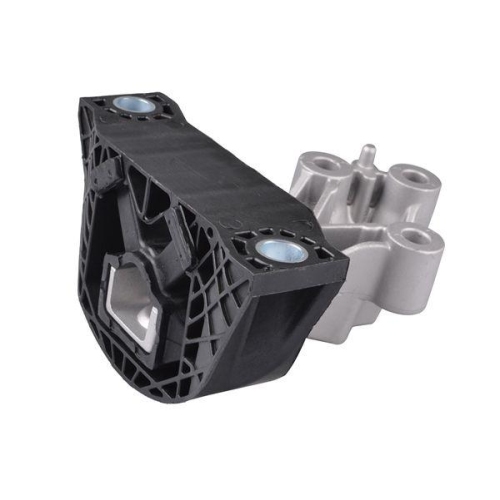 TEDGUM Lagerung, Motor TED79217