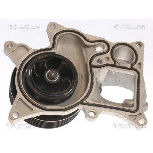 TRISCAN Wasserpumpe, Motorkühlung 8600 11060