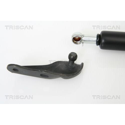 TRISCAN Gasfeder, Koffer-/Laderaum 8710 13265
