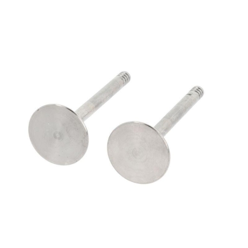 CORTECO Einlassventil 550839B