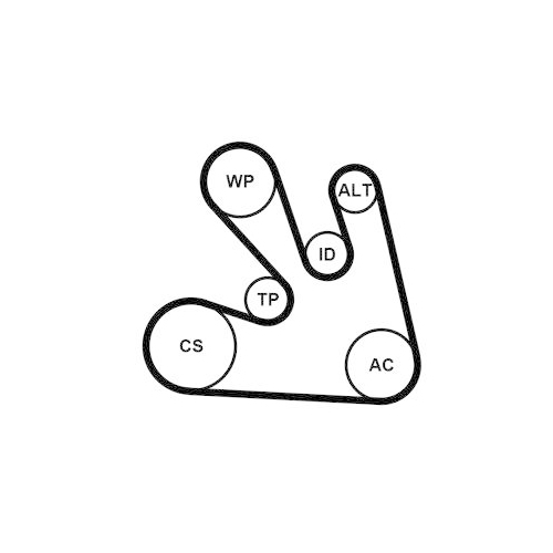 CONTINENTAL CTAM Keilrippenriemensatz 7PK1705K1
