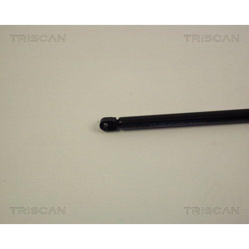 TRISCAN Gasfeder, Koffer-/Laderaum 8710 1517