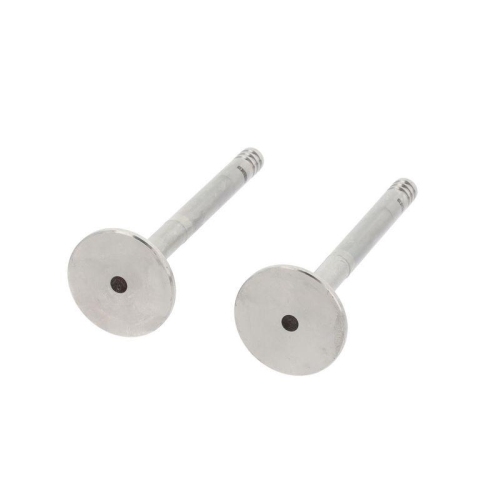 CORTECO Auslassventil 550840B