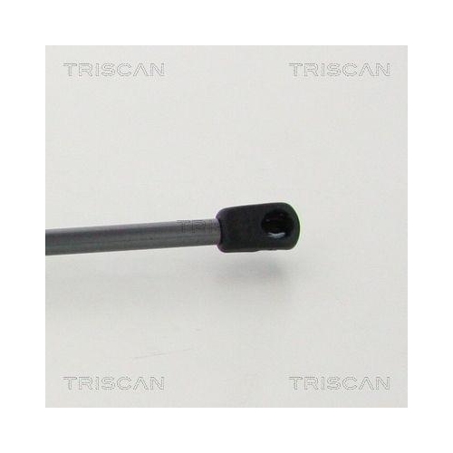 TRISCAN Gasfeder, Koffer-/Laderaum 8710 292036