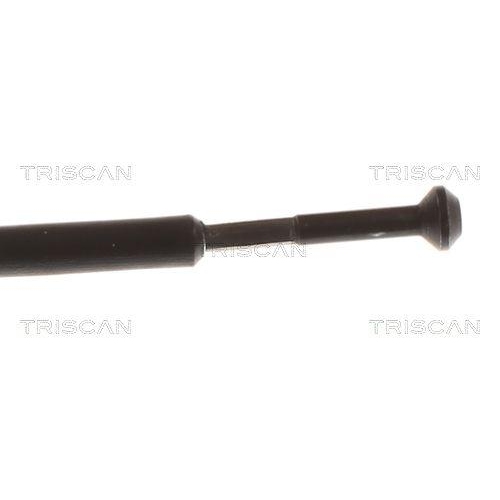 TRISCAN Motorhaubenzug 8140 24602