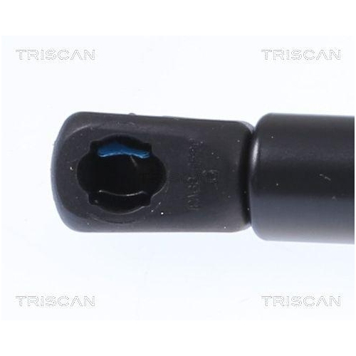 TRISCAN Gasfeder, Koffer-/Laderaum 8710 292059