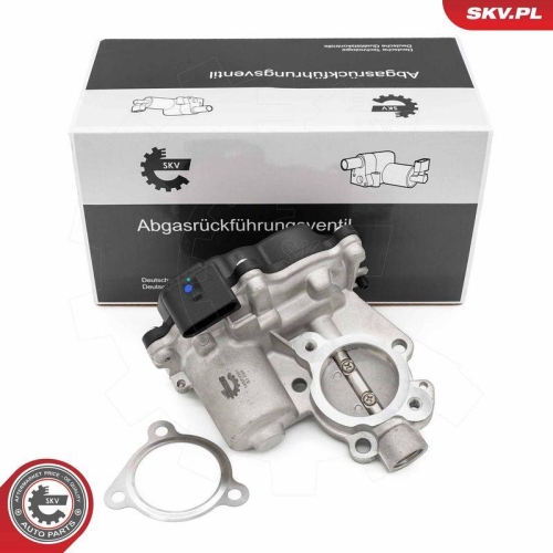 ESEN SKV AGR-Ventil 14SKV281