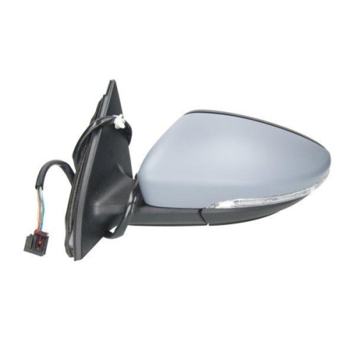 BLIC Außenspiegel 5402-01-2002673P