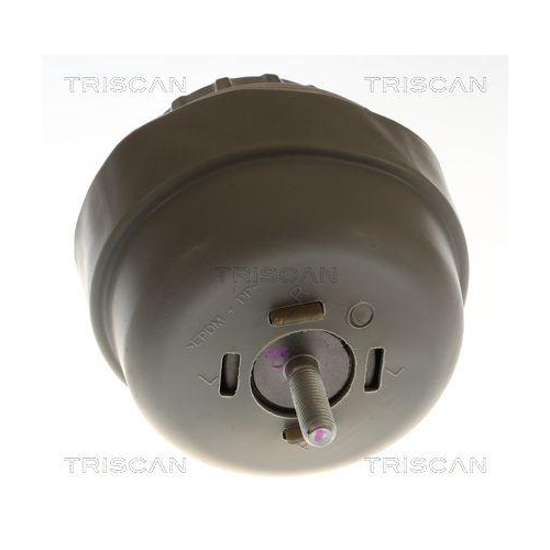 TRISCAN Lagerung, Motor 8505 29197