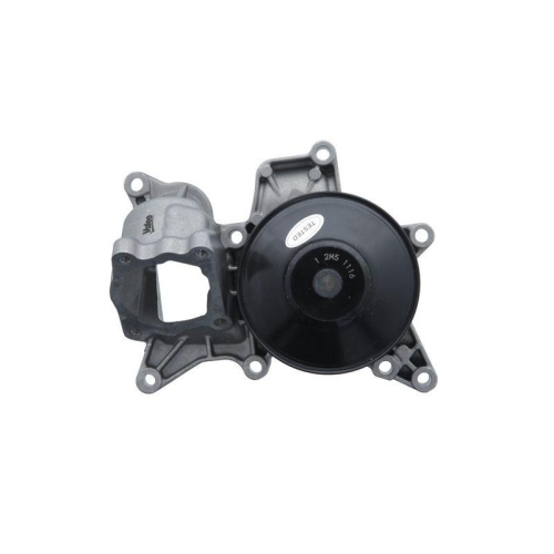 VALEO Wasserpumpe, Motorkühlung 529604