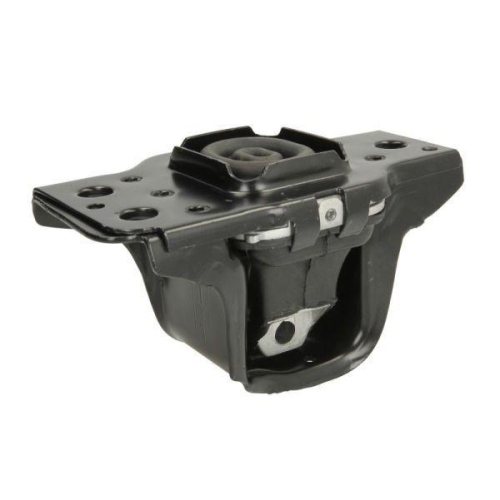 REINHOCH Lagerung, Motor RH11-2136