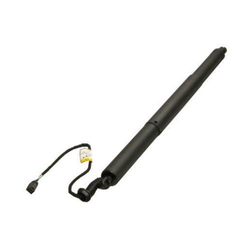 MAXGEAR Elektromotor, Heckklappe 12-2561