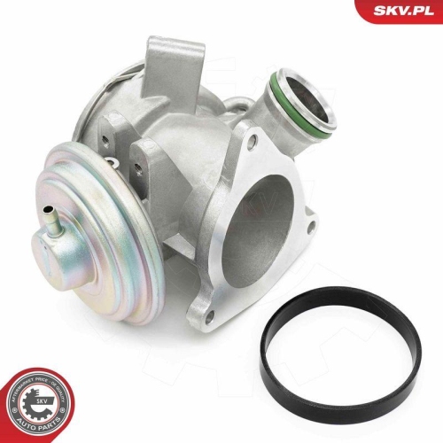 ESEN SKV AGR-Ventil 14SKV242
