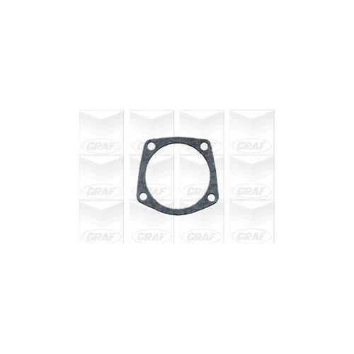 GRAF Wasserpumpe, Motork&uuml;hlung PA559