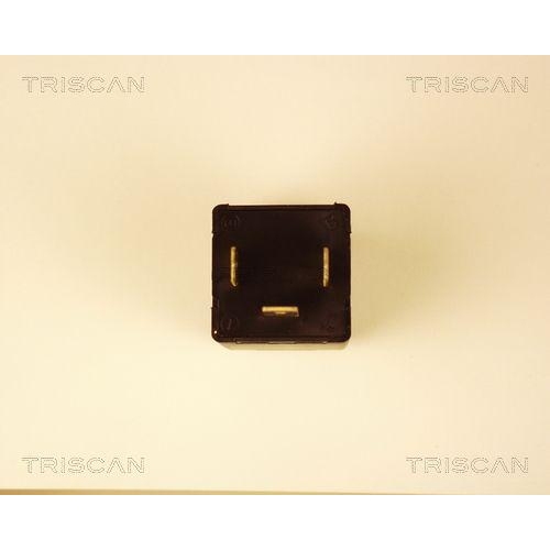 TRISCAN Blinkgeber 1010 EP35