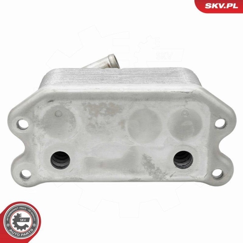ESEN SKV &Ouml;lk&uuml;hler, Motor&ouml;l 31SKV302