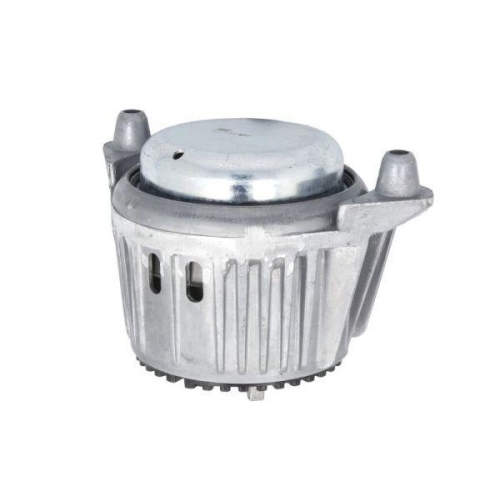 REINHOCH Lagerung, Motor RH11-3118