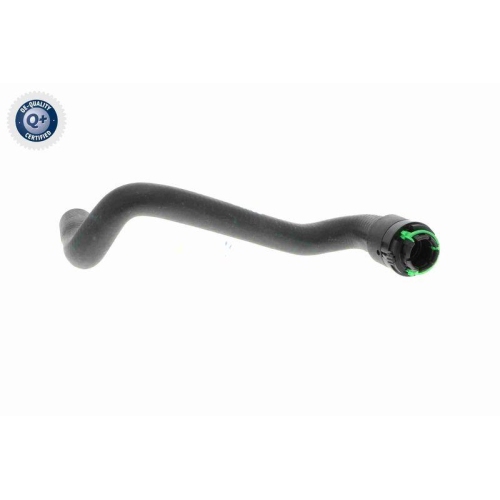 VAICO K&uuml;hlerschlauch Q+, Erstausr&uuml;sterqualit&auml;t V40-1347