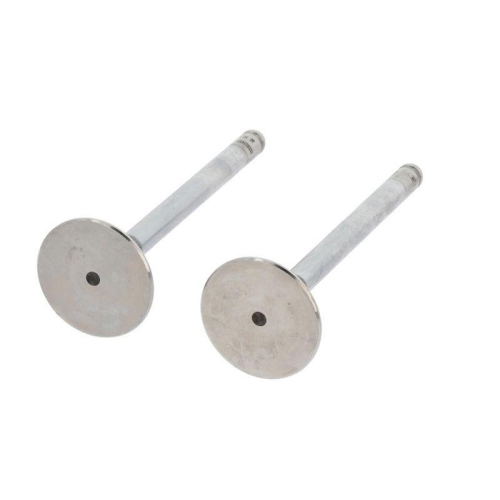 CORTECO Auslassventil 550983B