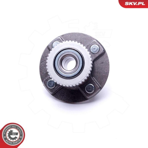 ESEN SKV Radlagersatz 29SKV520