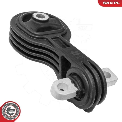 ESEN SKV Lagerung, Motor