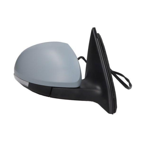 BLIC Außenspiegel 5402-04-9929130P