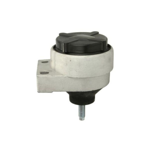 REINHOCH Lagerung, Motor RH11-4007