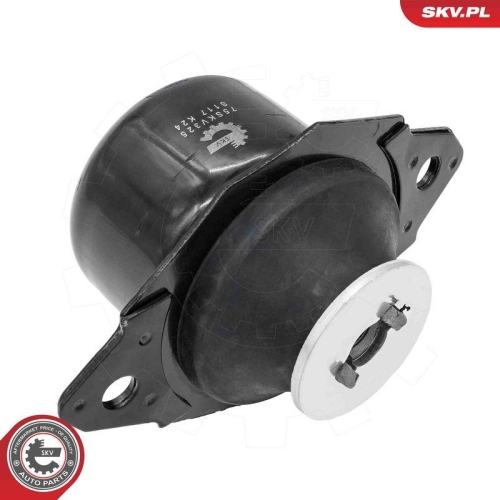 ESEN SKV Lagerung, Motor