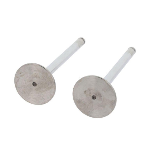 CORTECO Einlassventil 550990B