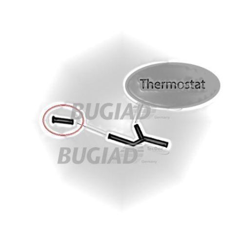 BUGIAD Ladeluftschlauch 88697
