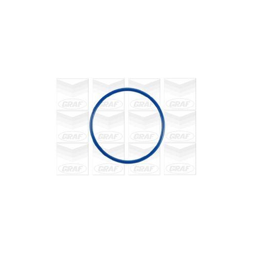 GRAF Wasserpumpe, Motorkühlung PA919