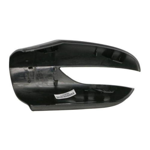 BLIC Gehäuse, Außenspiegel 6103-01-1392557P