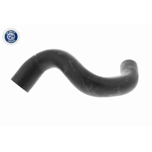 VAICO K&uuml;hlerschlauch Q+, Erstausr&uuml;sterqualit&auml;t V46-1233