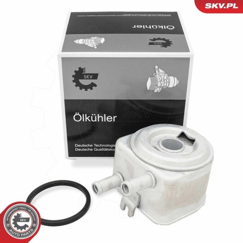 ESEN SKV &Ouml;lk&uuml;hler, Motor&ouml;l 31SKV274