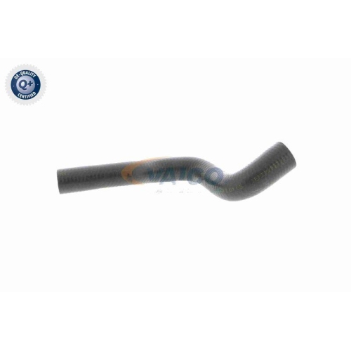 VAICO Kühlerschlauch Q+, Erstausrüsterqualität V20-1704