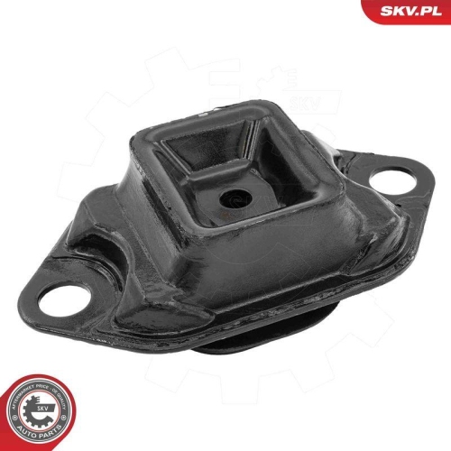 ESEN SKV Lagerung, Schaltgetriebe