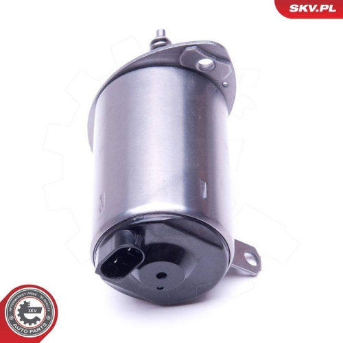 ESEN SKV Stellelement, Exzenterwelle (variabler Ventilhub) 96SKV089