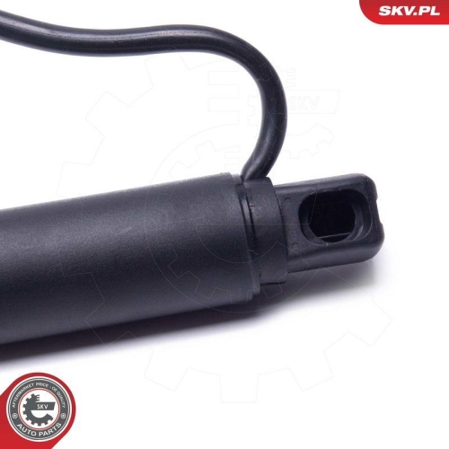 ESEN SKV Elektromotor, Heckklappe 52SKV958