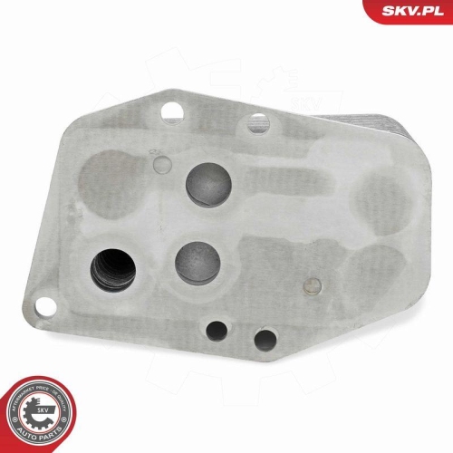 ESEN SKV &Ouml;lk&uuml;hler, Motor&ouml;l 31SKV298
