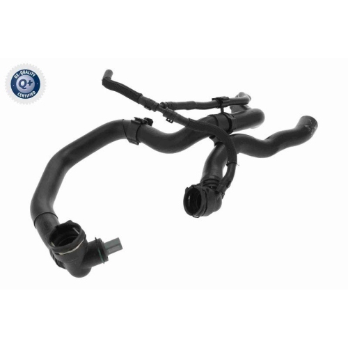 VAICO Kühlerschlauch Q+, Erstausrüsterqualität V10-4884