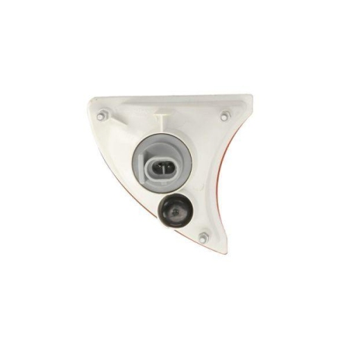 TRUCKLIGHT Blinkleuchte CL-IV004R