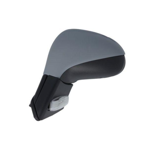 BLIC Au&szlig;enspiegel 5402-04-1131281P