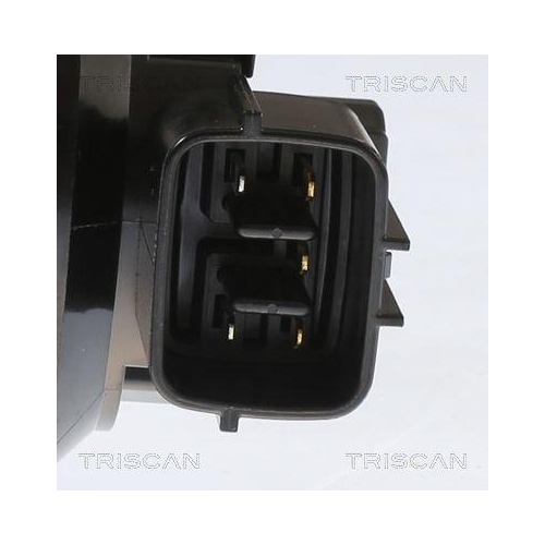 TRISCAN AGR-Ventil 8813 43055