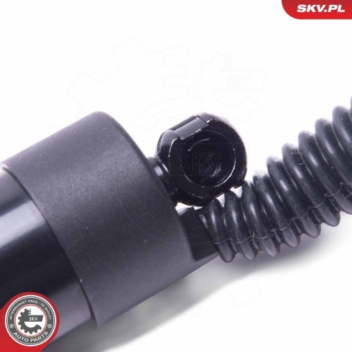 ESEN SKV Elektromotor, Heckklappe 52SKV955