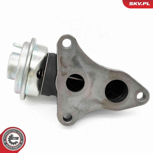 ESEN SKV AGR-Ventil 14SKV263