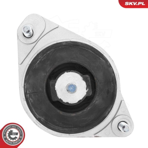 ESEN SKV Lagerung, Motor 75SKV224